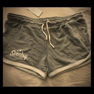 BNWT Scentsy Independent Consultant gray XL shorts